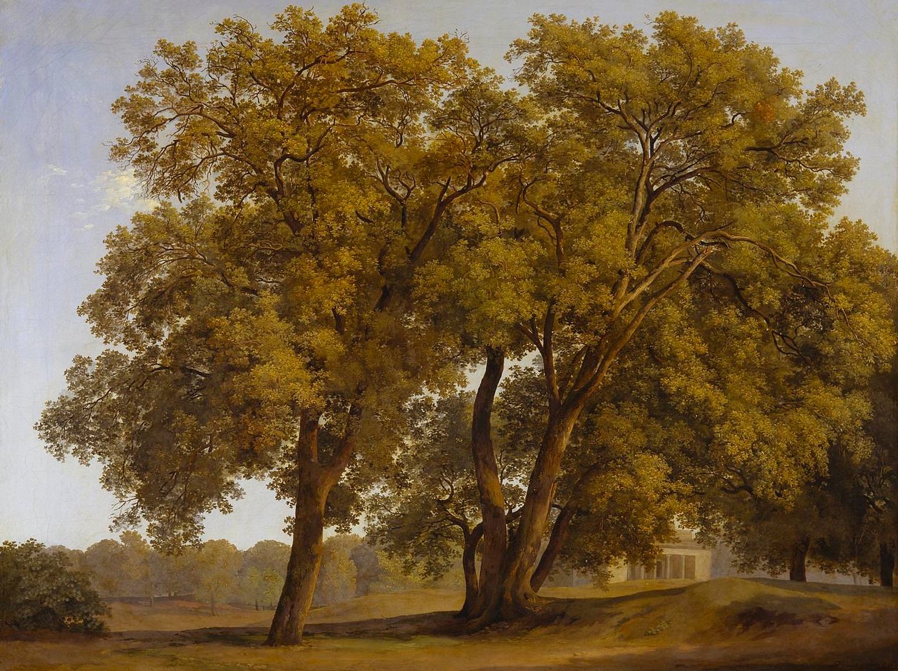Bäume in den Gärten der Villa Borghese von Johann Christian Reinhart