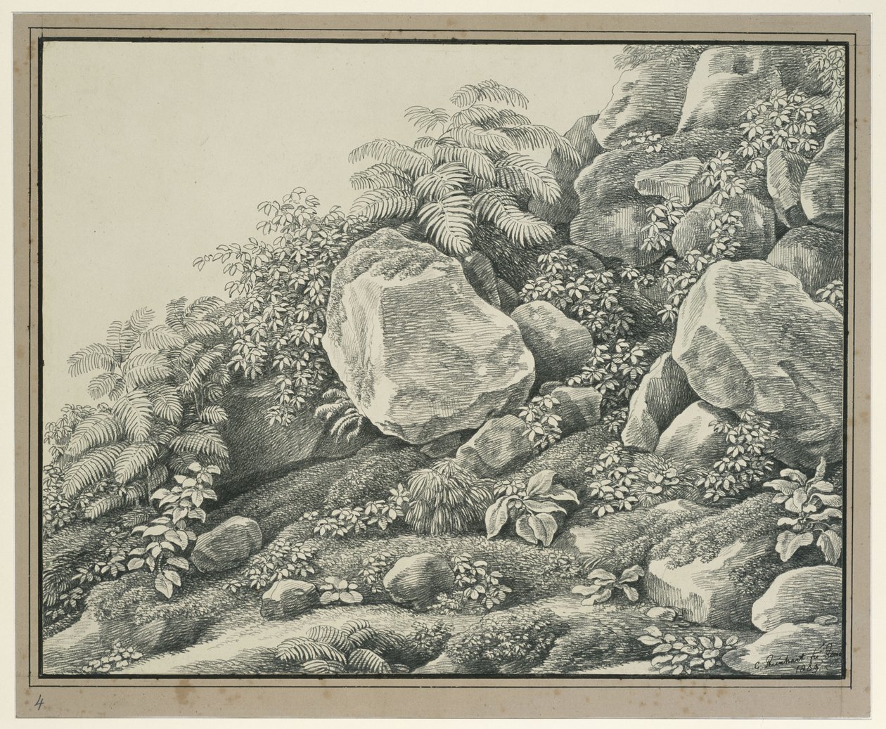 Vordergrundstudie: Felsen, Gebüsch, Farne und Blattpflanzen von Johann Christian Reinhart