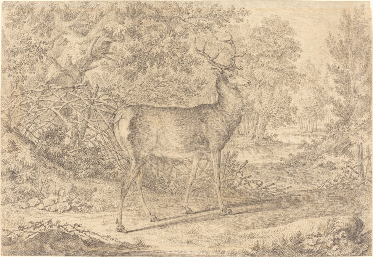 Ein prächtiger junger Hirsch vor einem Flechtzaun von Johann Elias Ridinger