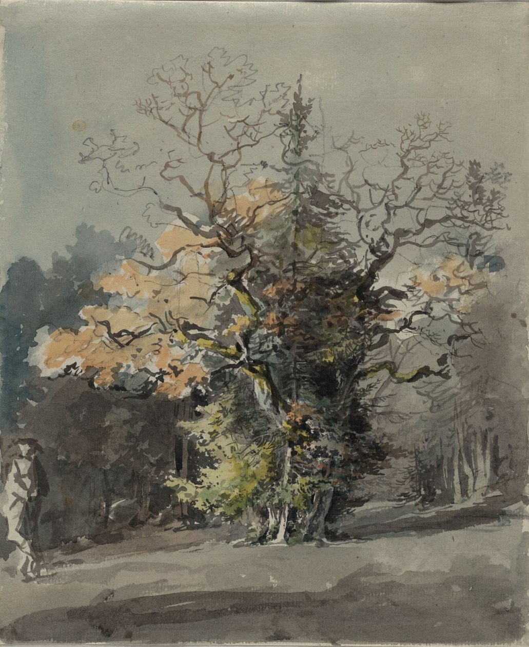 Baumgruppe vor Wald von Johann Georg von Dillis