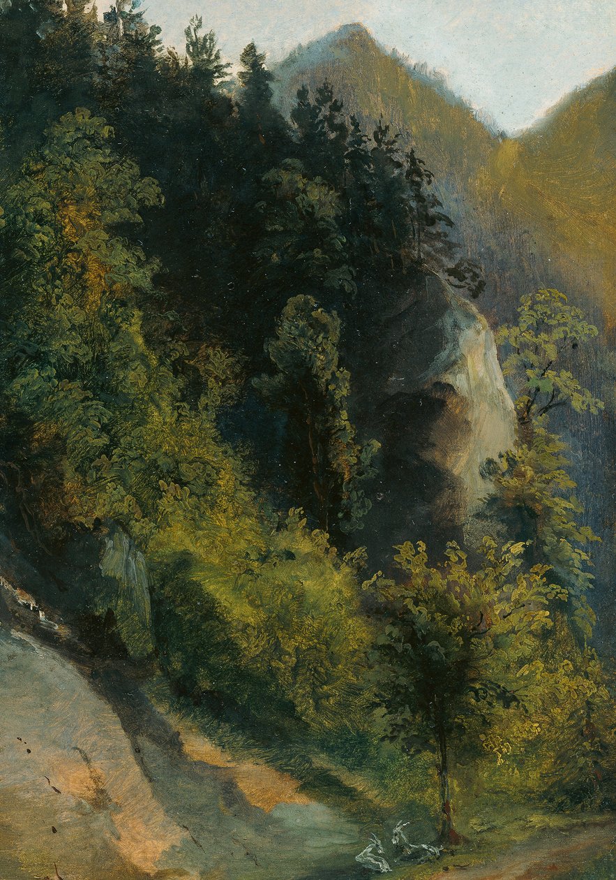 Bewaldetes Felstal mit Ziegen von Johann Georg von Dillis