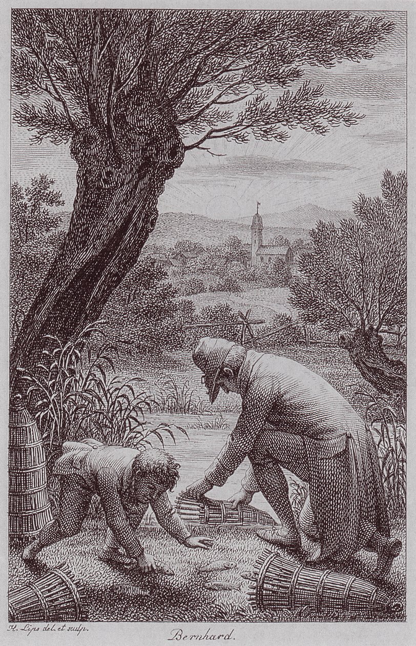 BernhardJHLipsi von Johann Heinrich Lips