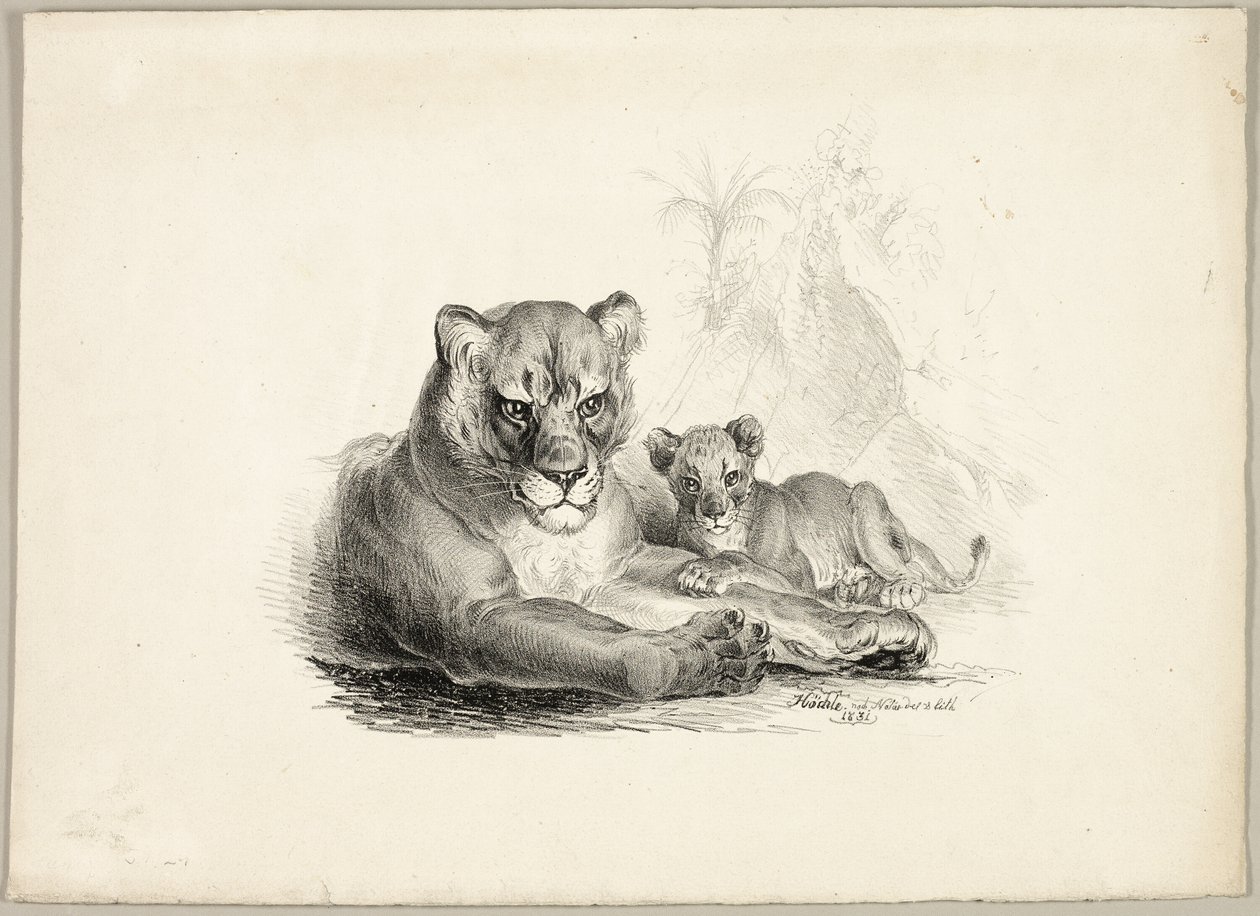 Löwe mit Jungen von Johann Höchle