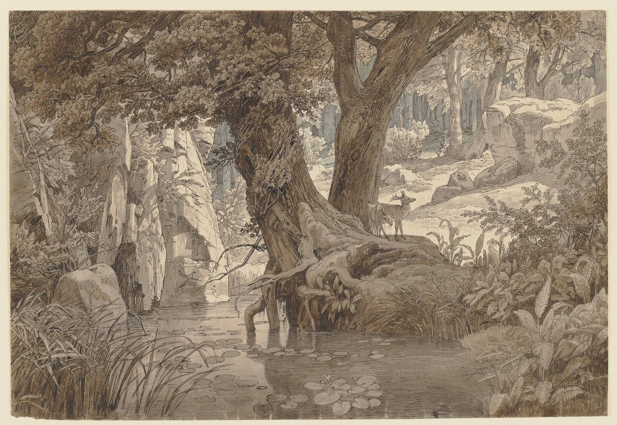 Waldlandschaft von Johann Wilhelm Schirmer