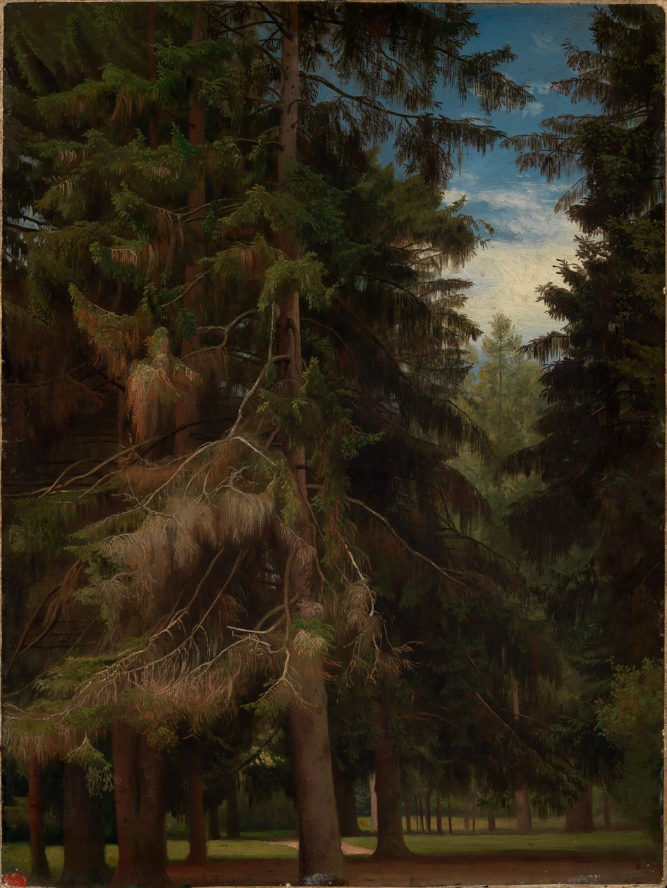 Lichtung im Tannenwald von Johann Wilhelm Schirmer