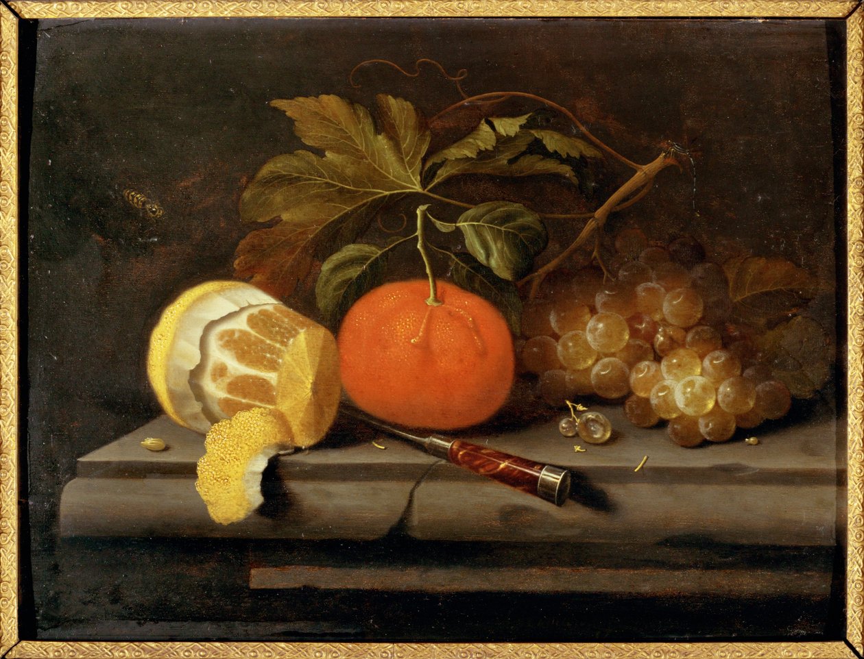 Stillleben: Obst auf einem Steintisch von Johannes Borman