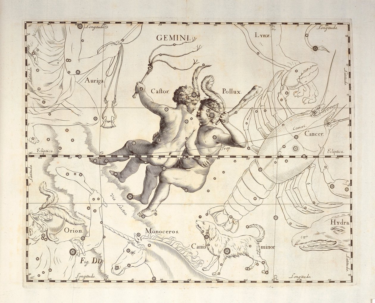 Sternbild Zwillinge, Gravur aus dem Himmelsatlas Firmamentum Sobiescianum sive Uronographia, von Johann Hevelius (1611-1687), Danzig von Johannes Hevelius