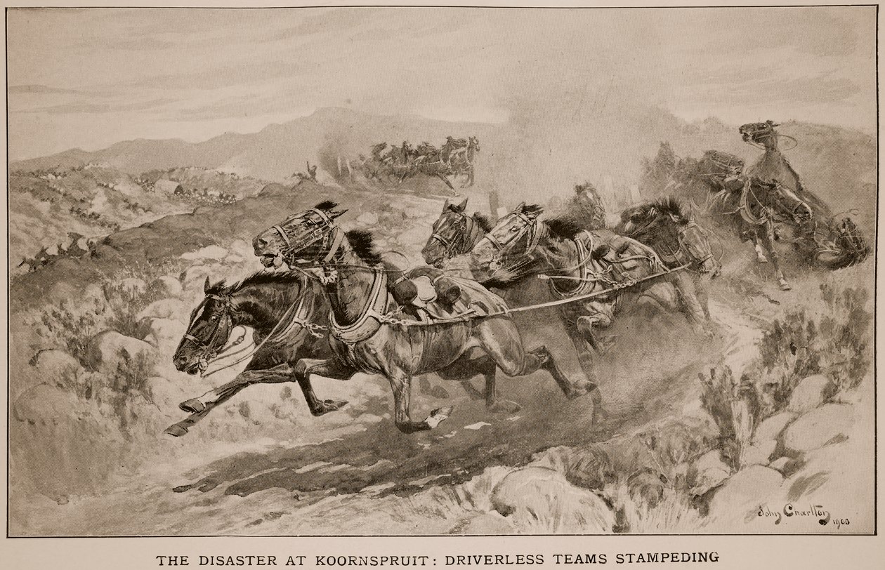Das Unglück bei Koornspruit: Fahrerlose Teams in Panik, 1900 von John Charlton