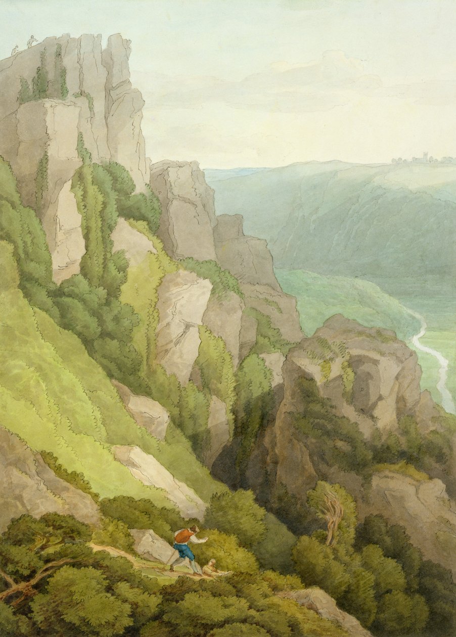 Morwell-Felsen von John White Abbott: Kunstdruck kaufen