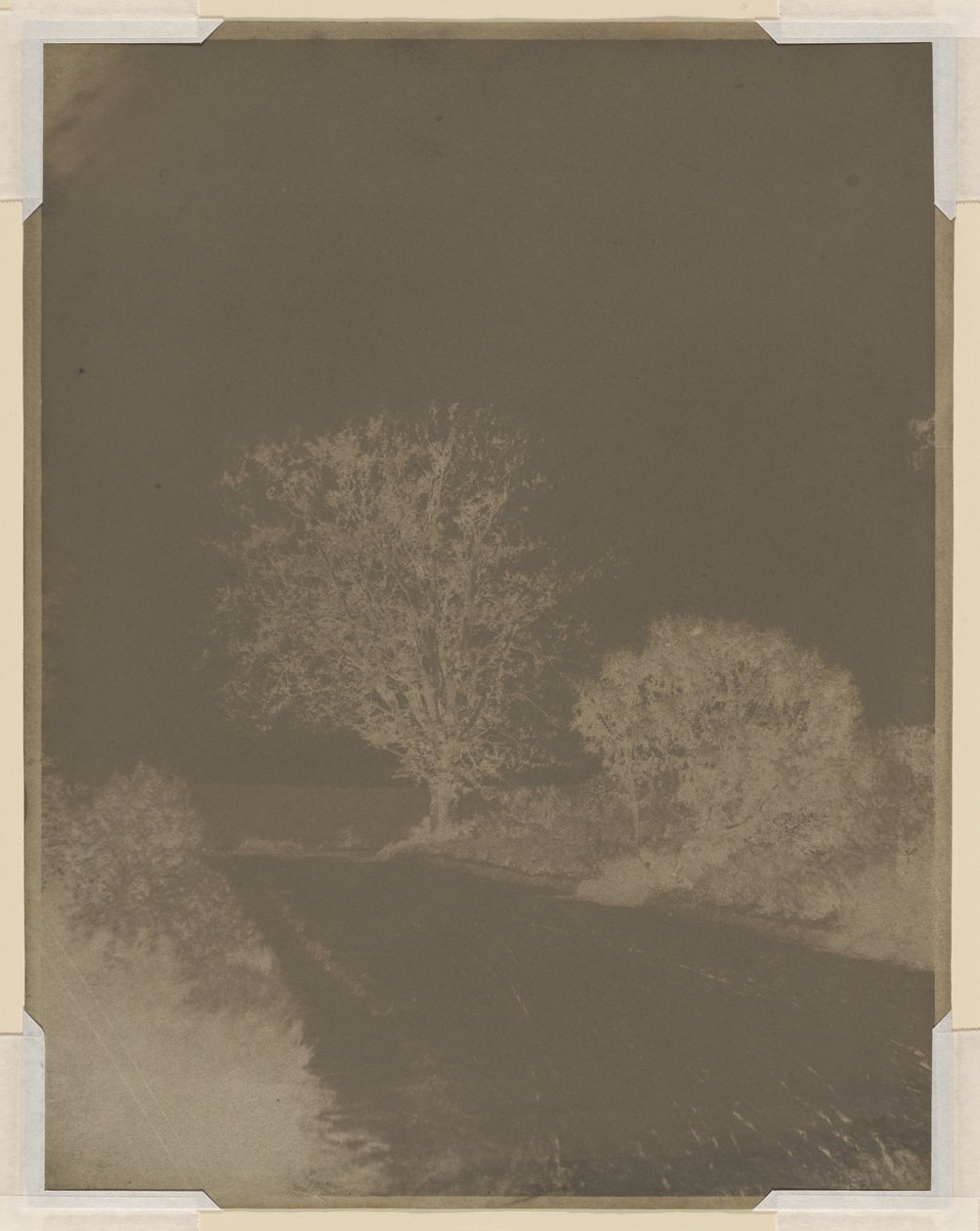 Baum am Straßenrand von John Beasley Greene