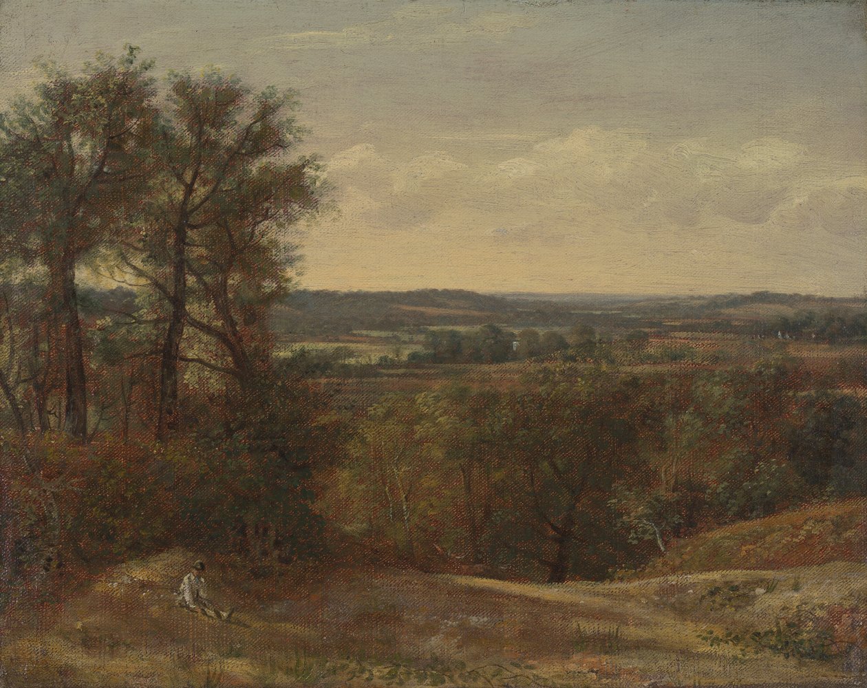 Dedham Vale von John Constable