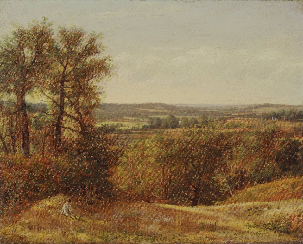 Dedham Vale von John Constable