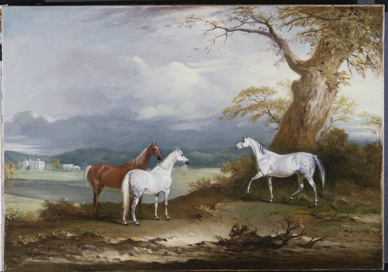 Lord Macdonalds Stuten auf dem Gelände von Thorpe Hall, Rudston, Yorkshire, 1836 von John E. Ferneley