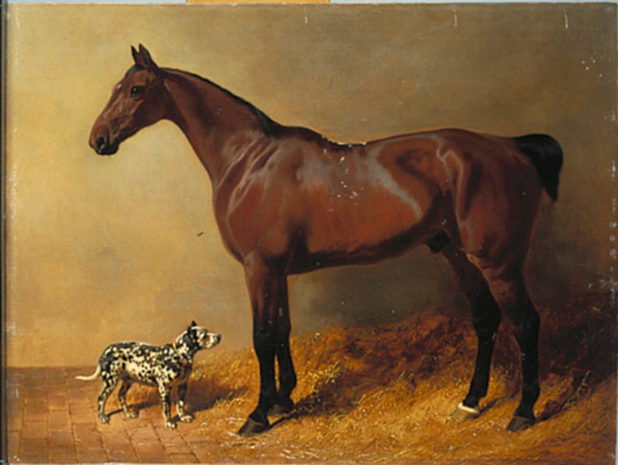 Ein brauner Jäger und ein gefleckter Hund in einem Stall von John Frederick Herring Senior