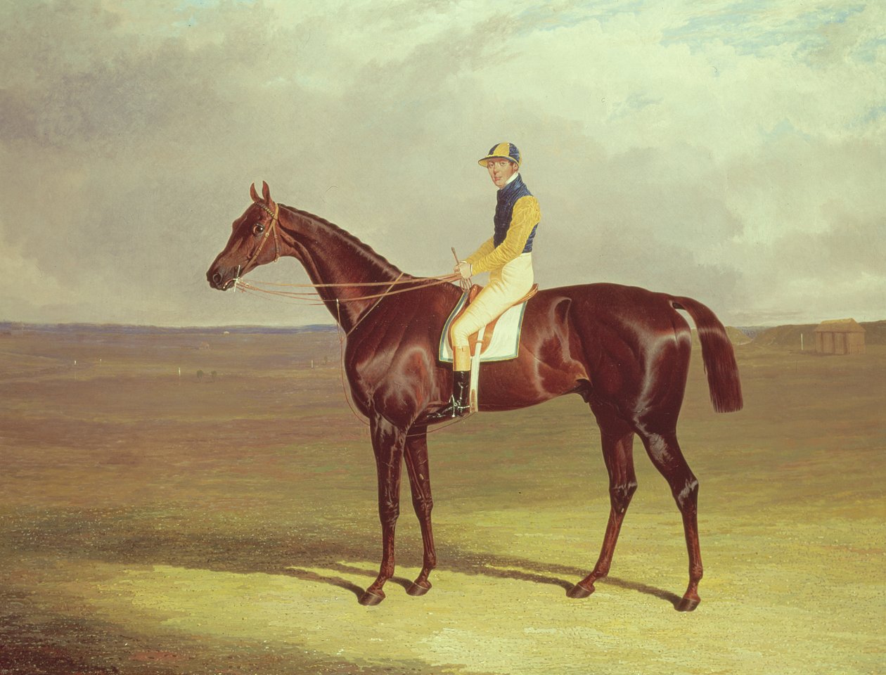 Mr. M. Stanleys Krücke auf Newmarket Heath, 1833 von John Frederick Herring Senior