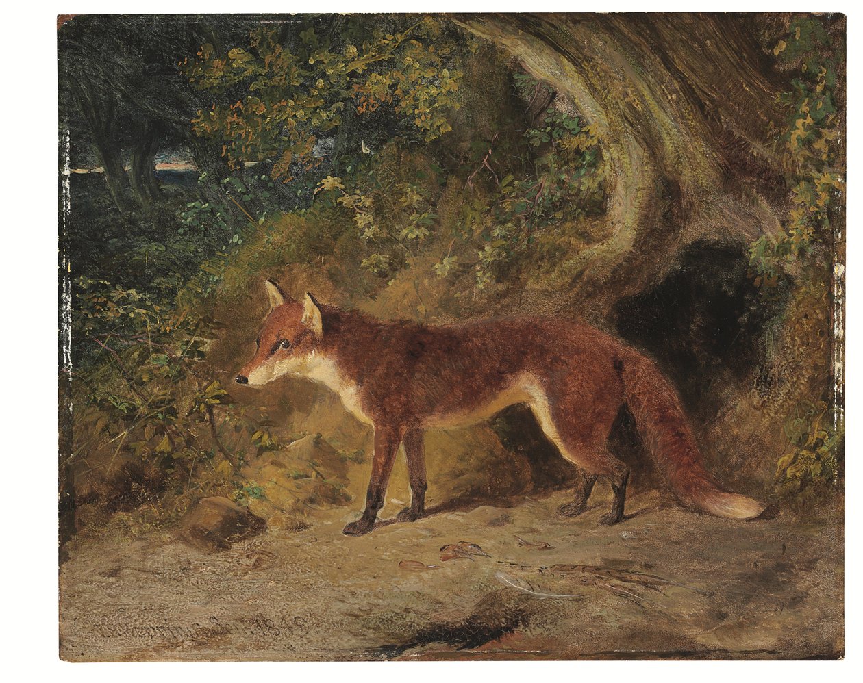 Der Rotfuchs von John Frederick Senior Herring