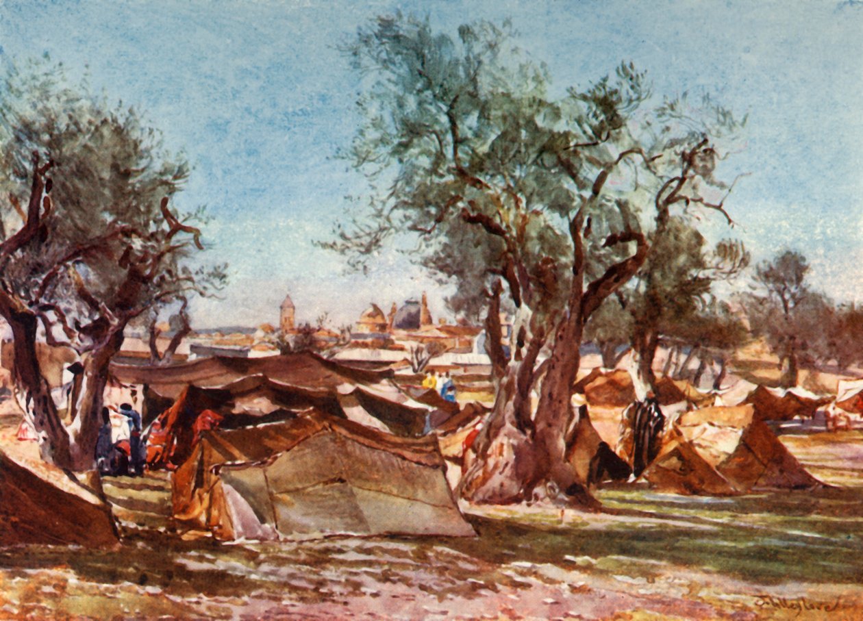 Beduinenlager außerhalb der Nordmauer von Jerusalem, 1902 von John Fulleylove