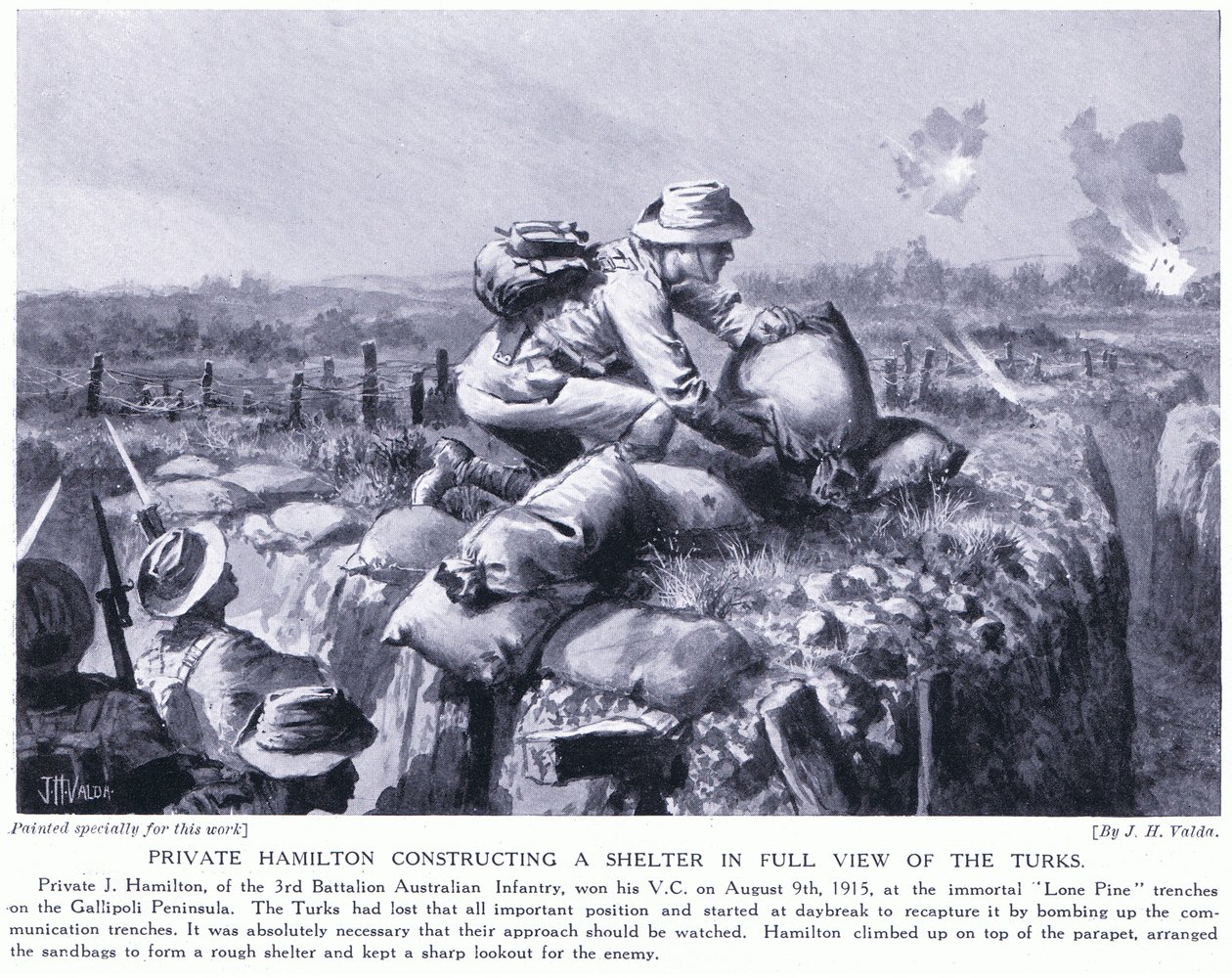 Private Hamilton baut einen Unterstand im vollen Blick der Türken an den Lone Pine Gräben auf der Gallipoli-Halbinsel, August 1915 von John Harris Valda