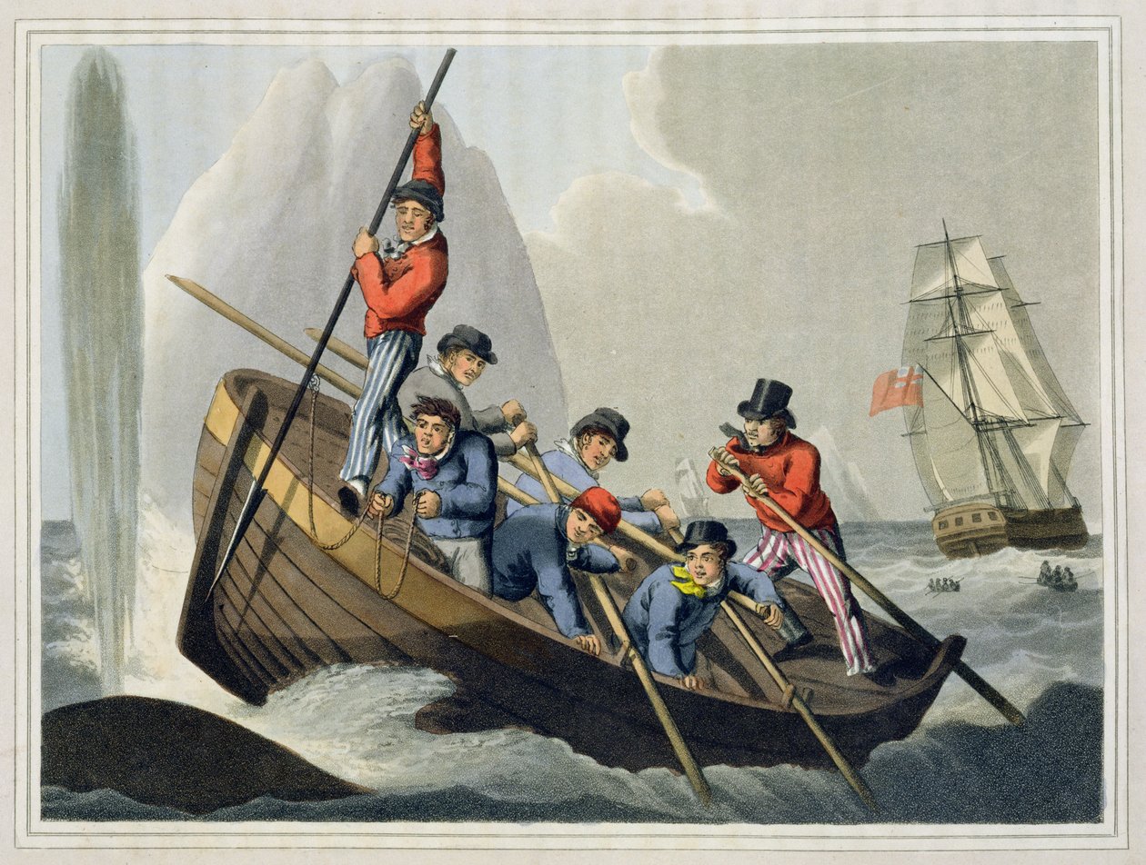 Ein Schiff greift einen Wal an, graviert von Matthew Dubourg, veröffentlicht von Edward Orme, 1813 von John Heaviside Clark