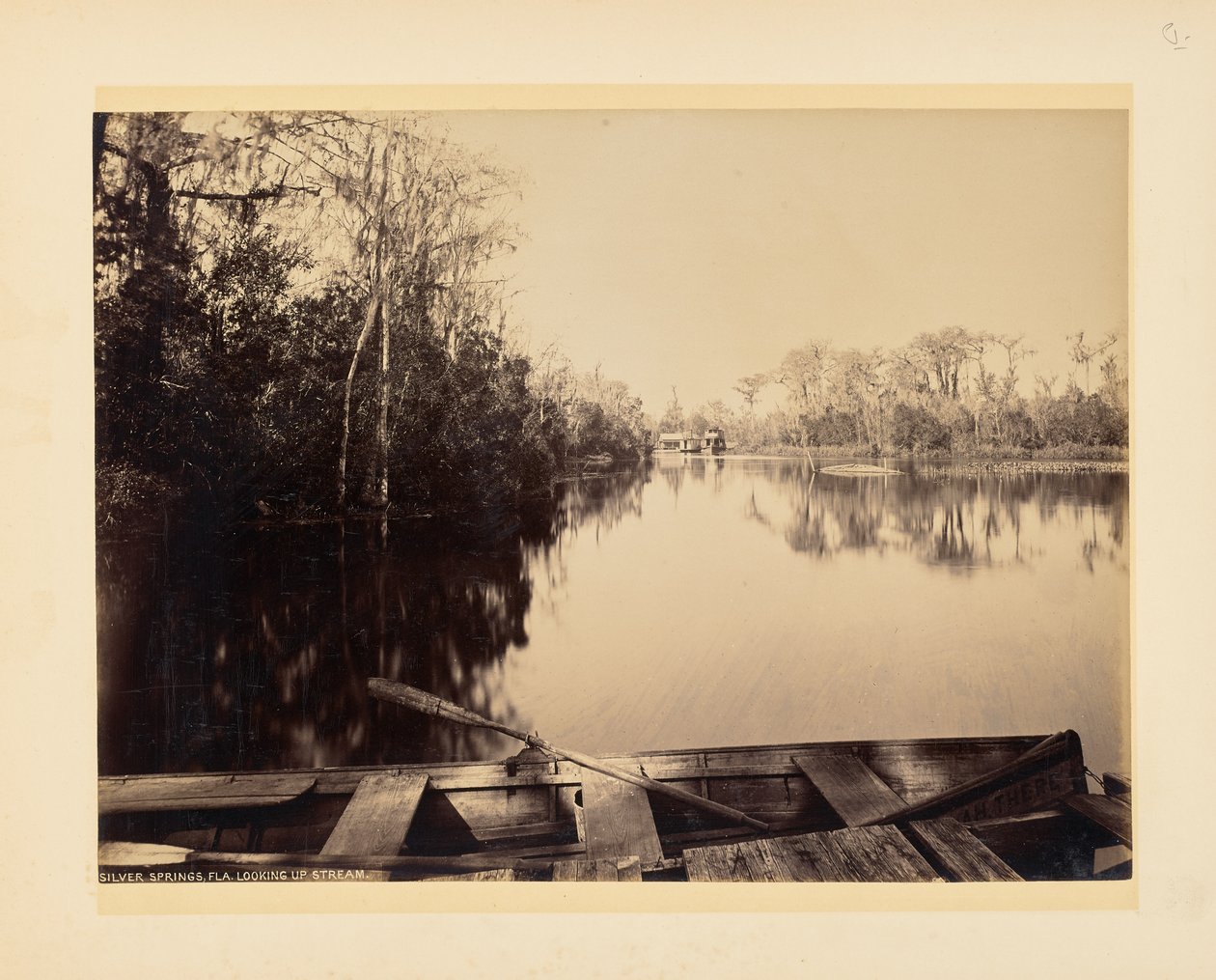 Silver Springs, Florida, flussaufwärts gesehen von John K. Hillers