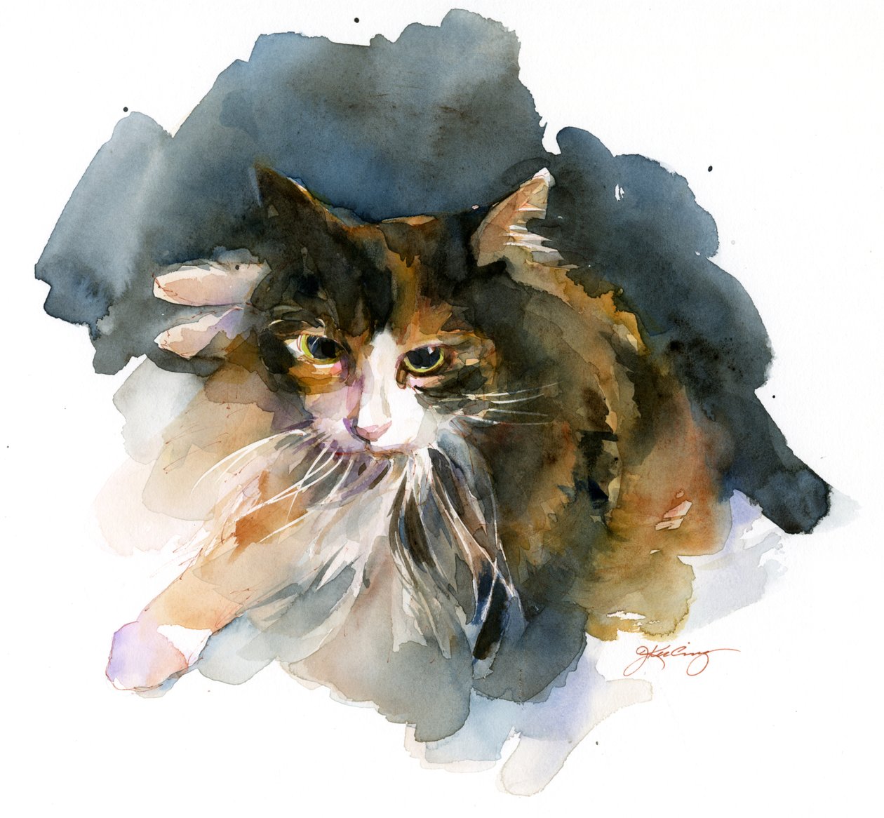 Dreifarbige Katze von John Keeling