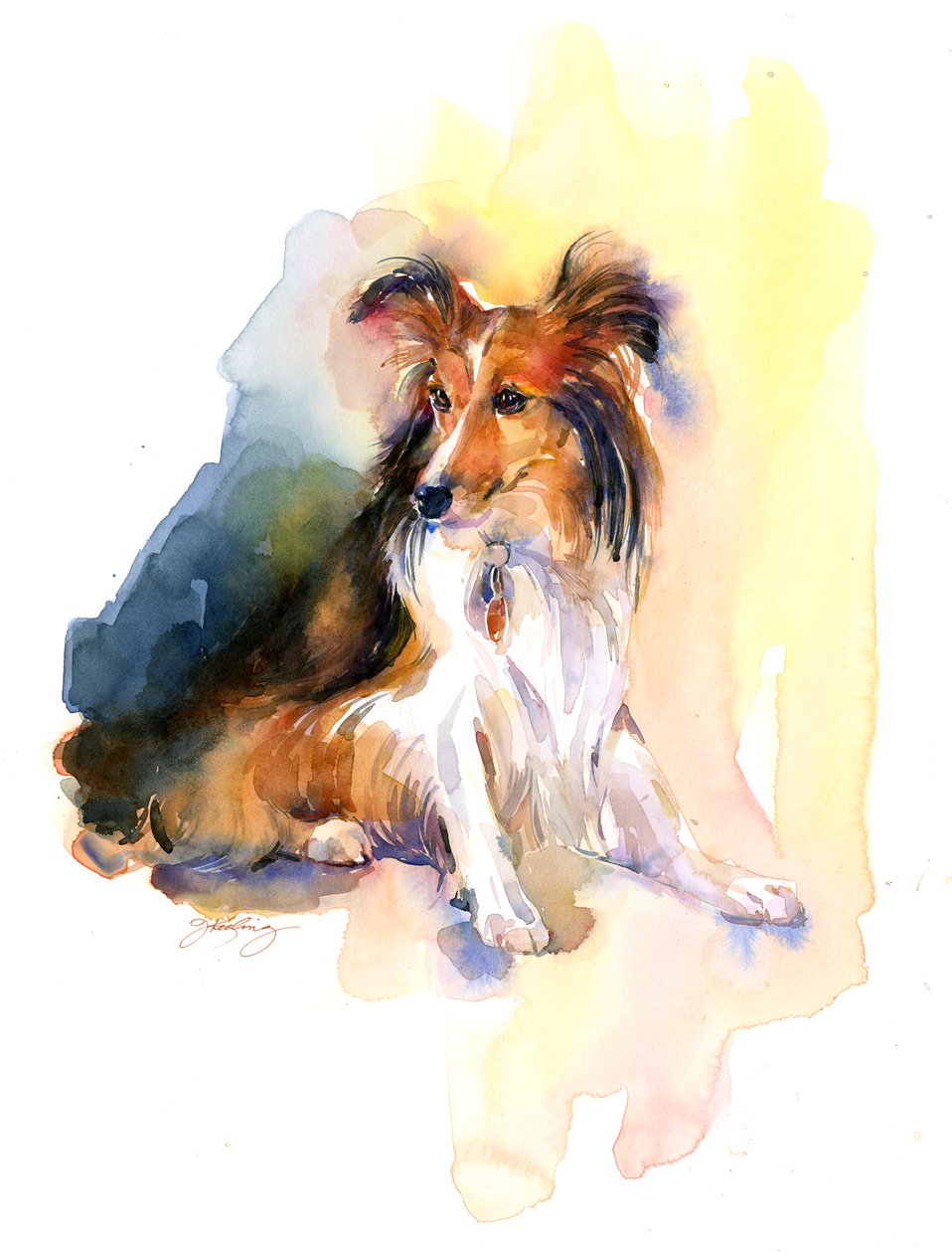 Sheltie Porträt von John Keeling