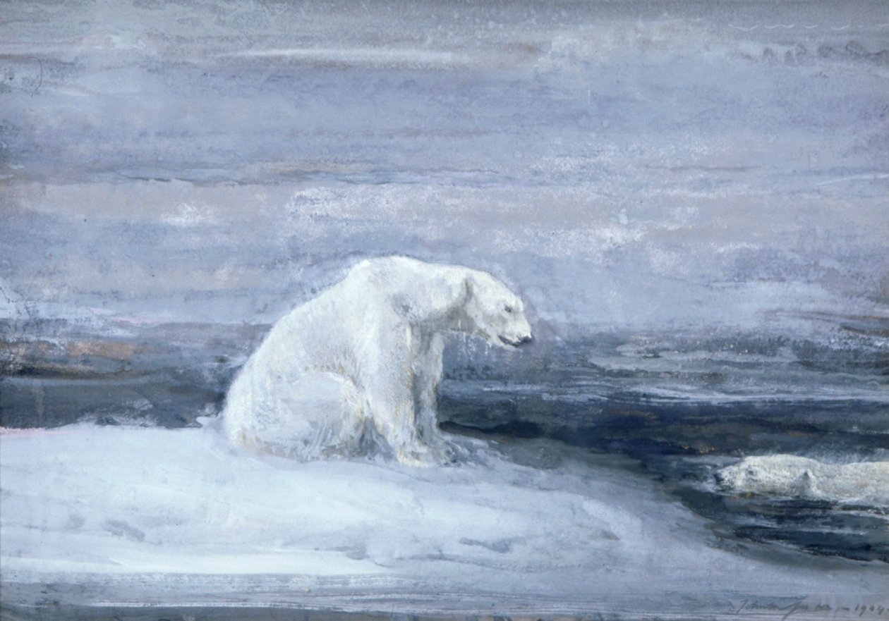 Eisbären beobachten Robben an einem Eisloch von John Macallan Swan