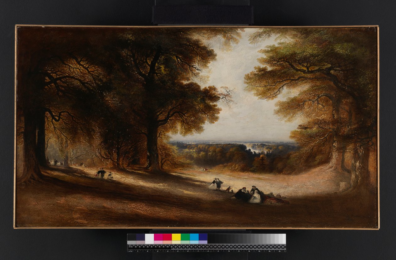 Landschaft: Blick in den Richmond Park, 1850 von John Martin