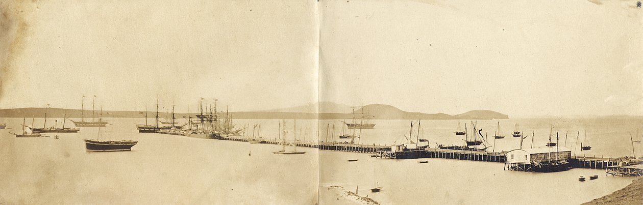 Auckland Hafen, 1865 von John Nicol Crombie
