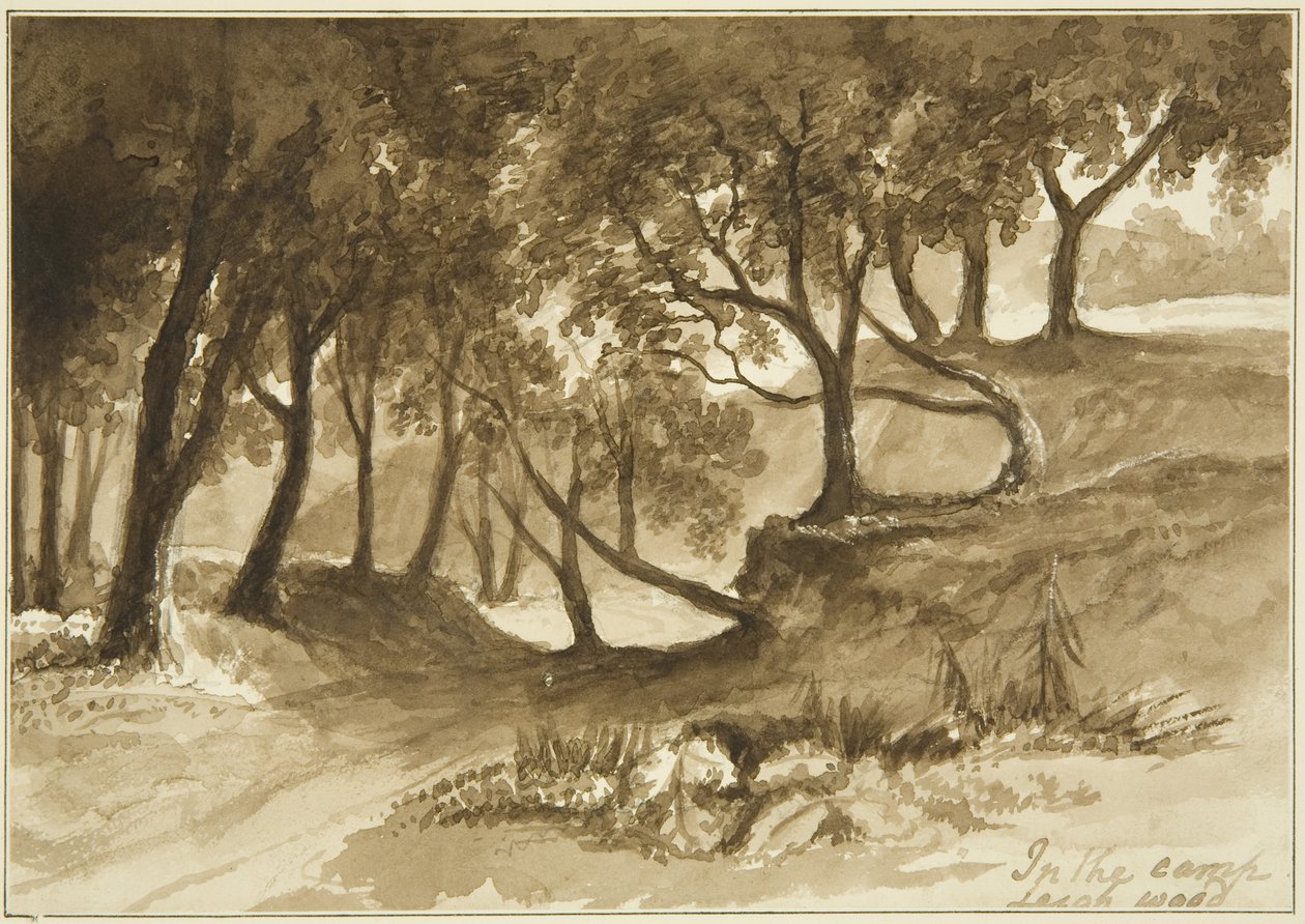 Ansicht im Burwalls Camp, Leigh Woods von John Reverend Eden