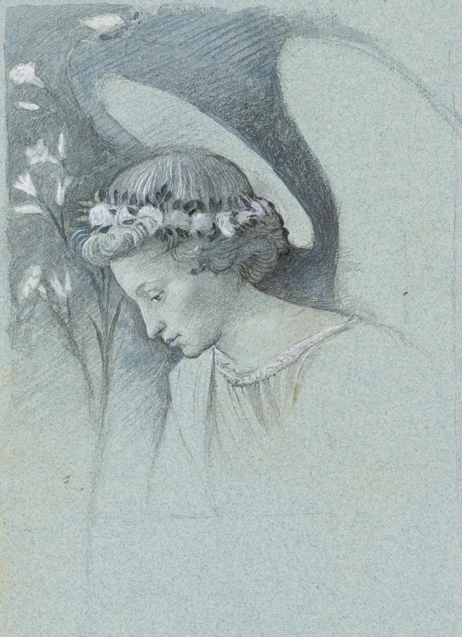 Studie des Kopfes des Erzengels Gabriel in Filippo Lippis 