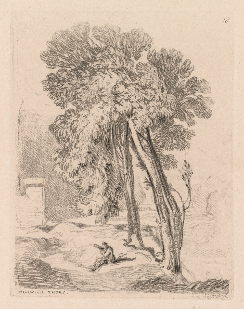 Liber Studiorum: Platte 18, Bäume in Norwich Thorp, Norfolk, 1838 von John Sell Cotman