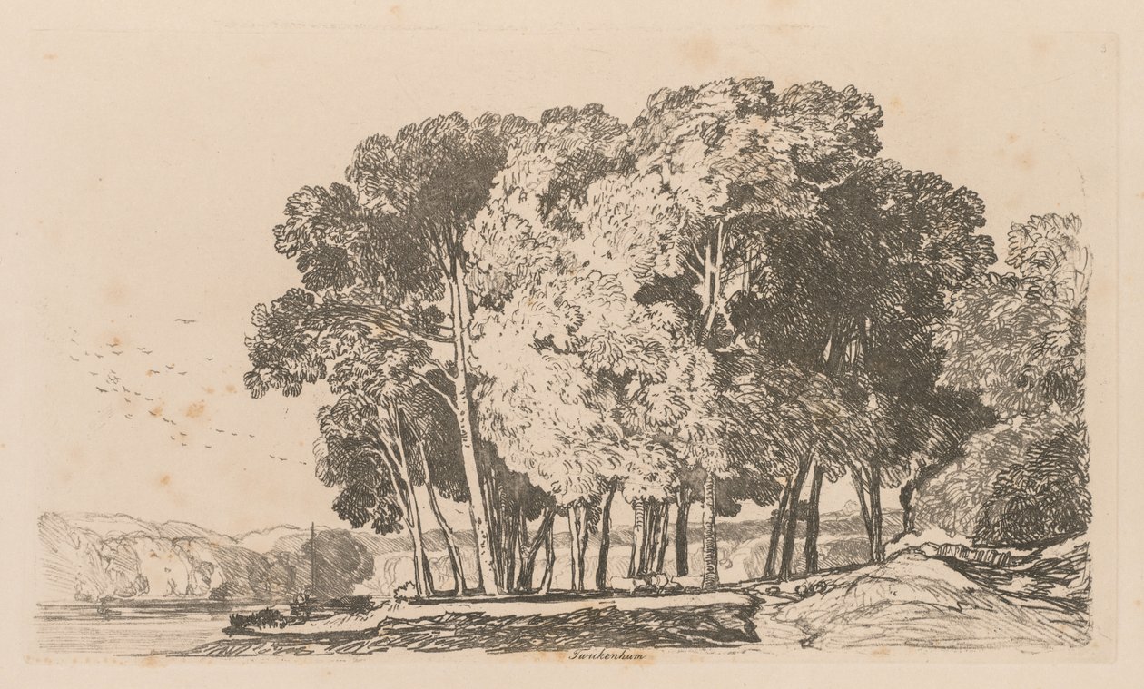 Liber Studiorum: Platte 3, Bäume bei Twickenham, 1838 von John Sell Cotman