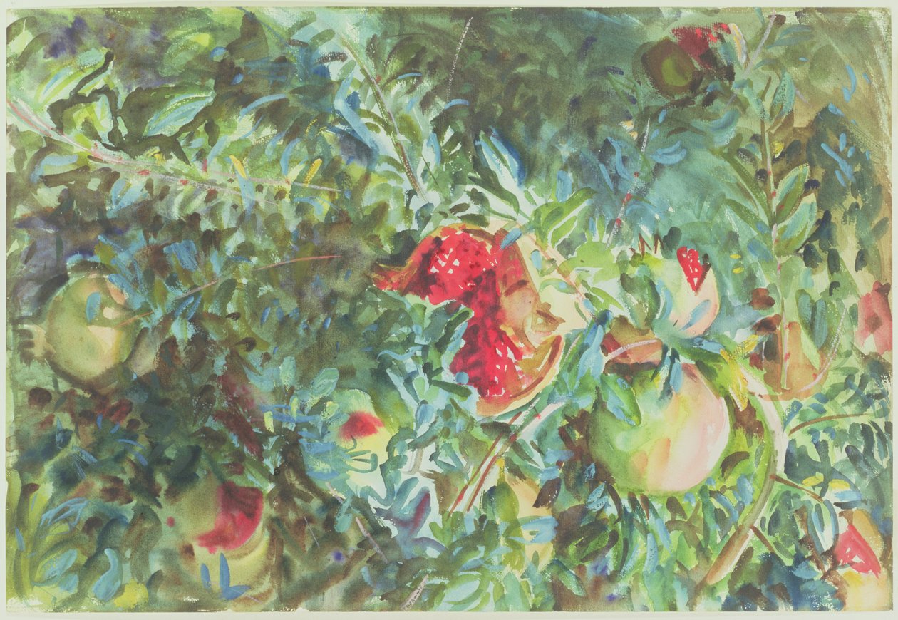 Granatäpfel, 1908 von John Singer Sargent