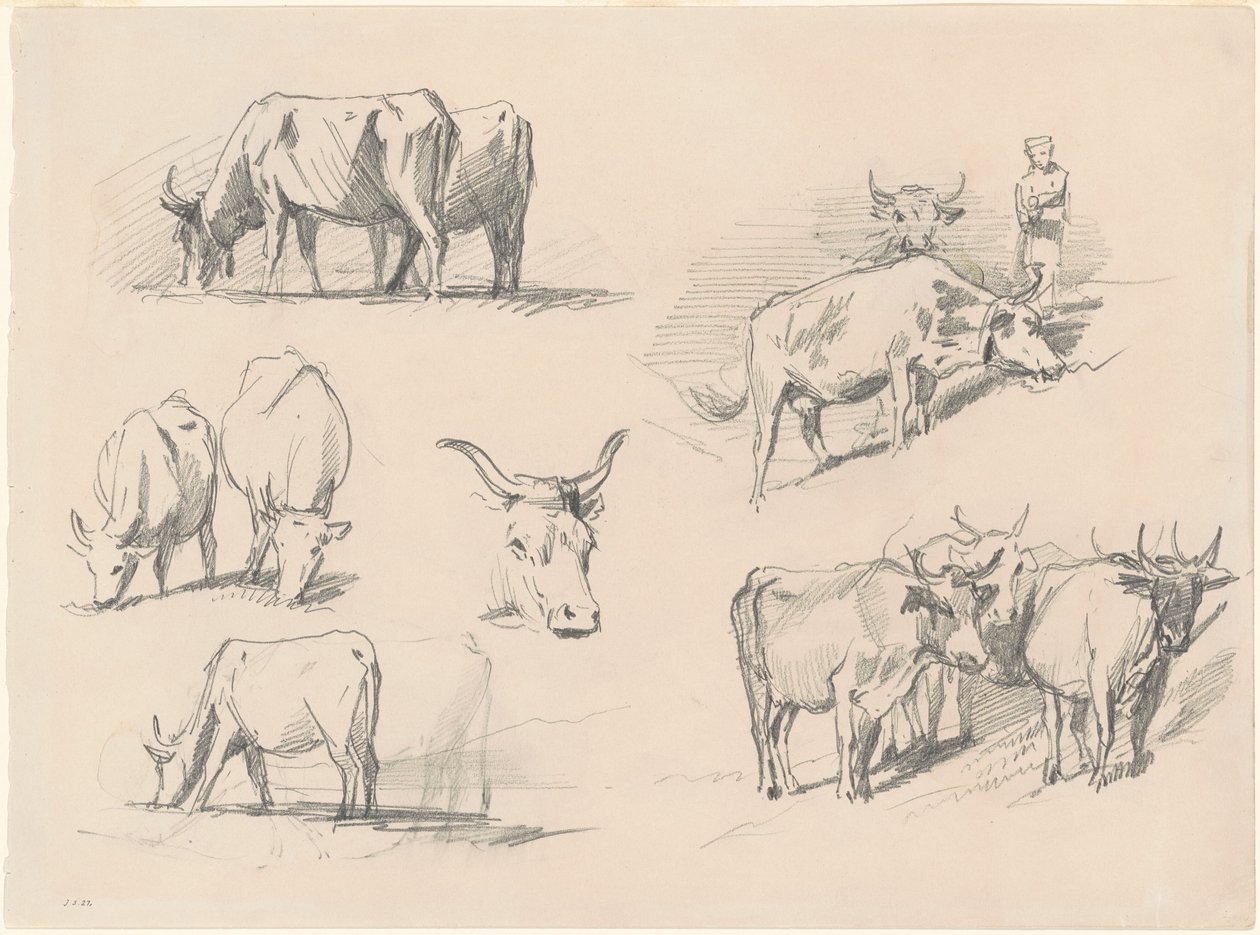 Studien von Rindern, ca. 1872 von John Singer Sargent