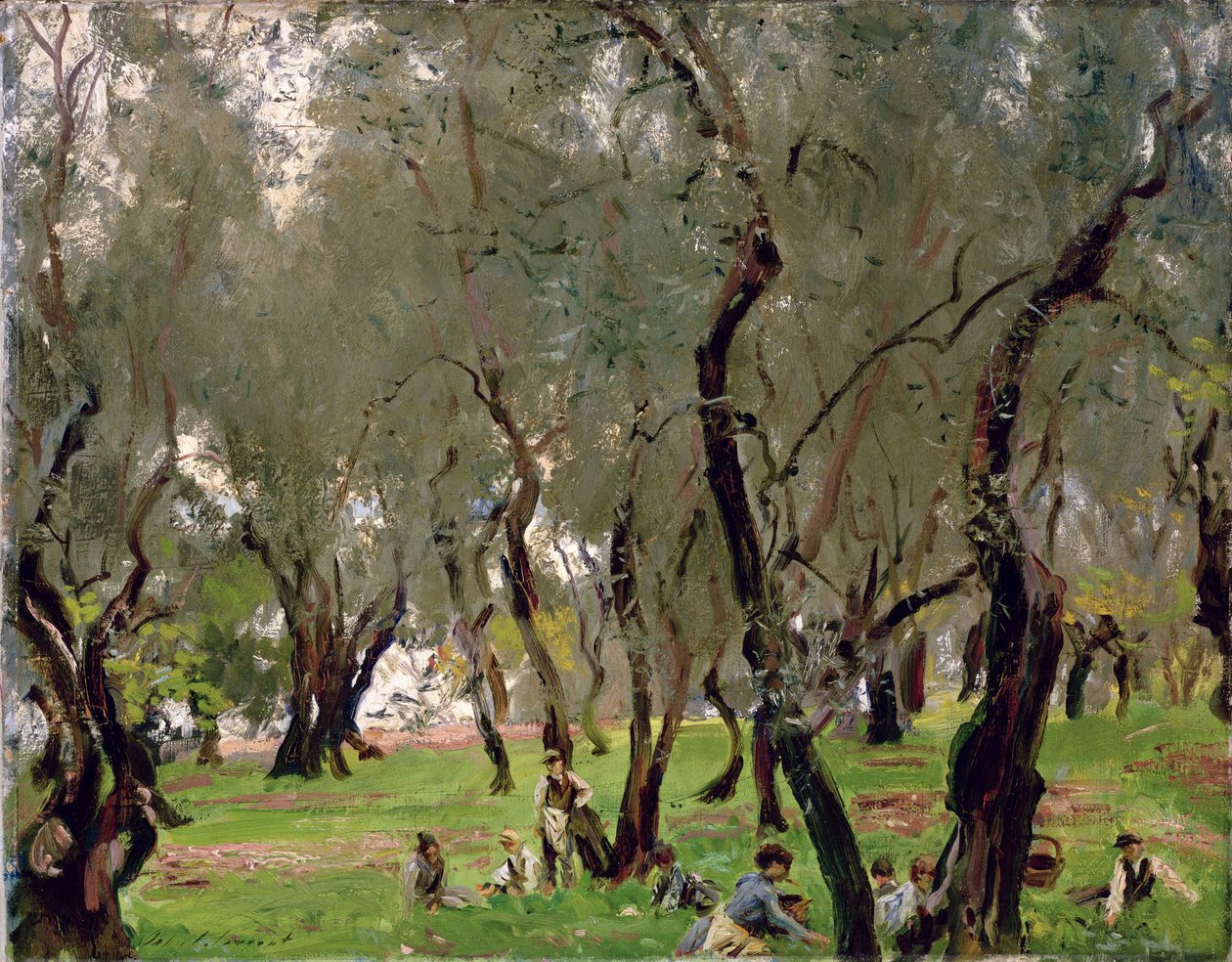 Der Olivenhain, ca. 1910 von John Singer Sargent