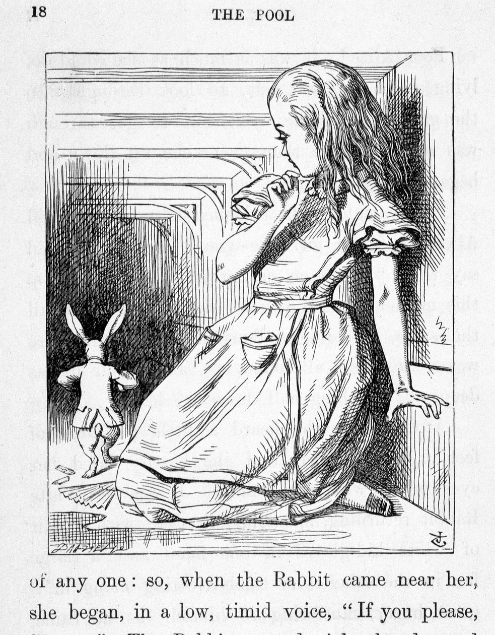 Alice und das Kaninchen - in „Alice
