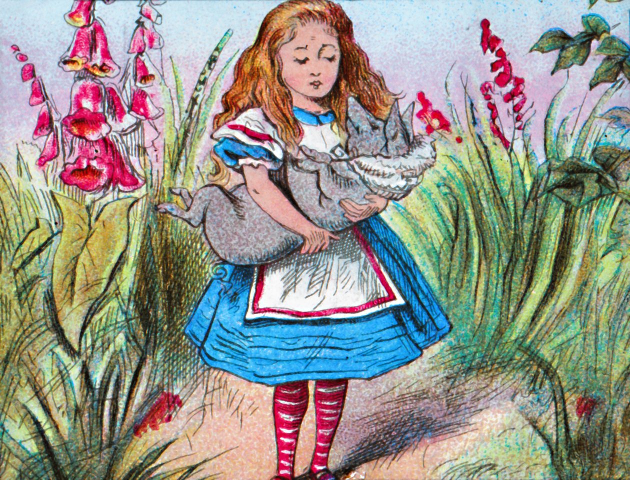 Alice hält ein Schwein in ihren Armen, ca. 1910 von John Tenniel