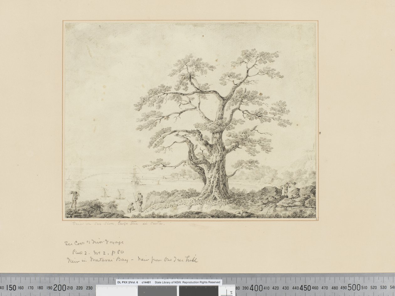 Ansicht am Meeresufer, großer Baum in der Mitte von John Webber