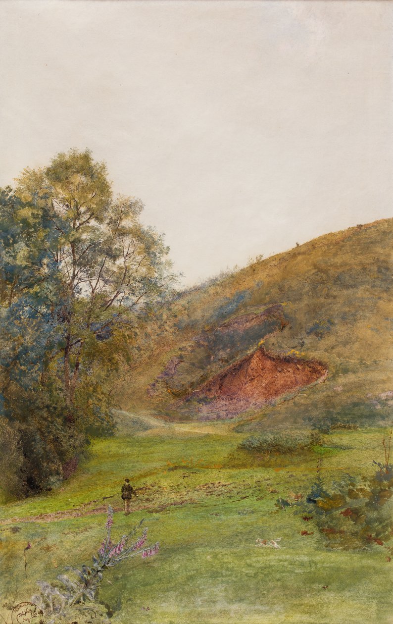 Die Quantock Hills, ca. 1870 von John William North
