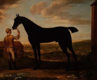 "Basto", dunkelbraunes Rennpferd, das von einem Stallburschen vor dem Stall in Newmarket gehalten wird von John Wootton
