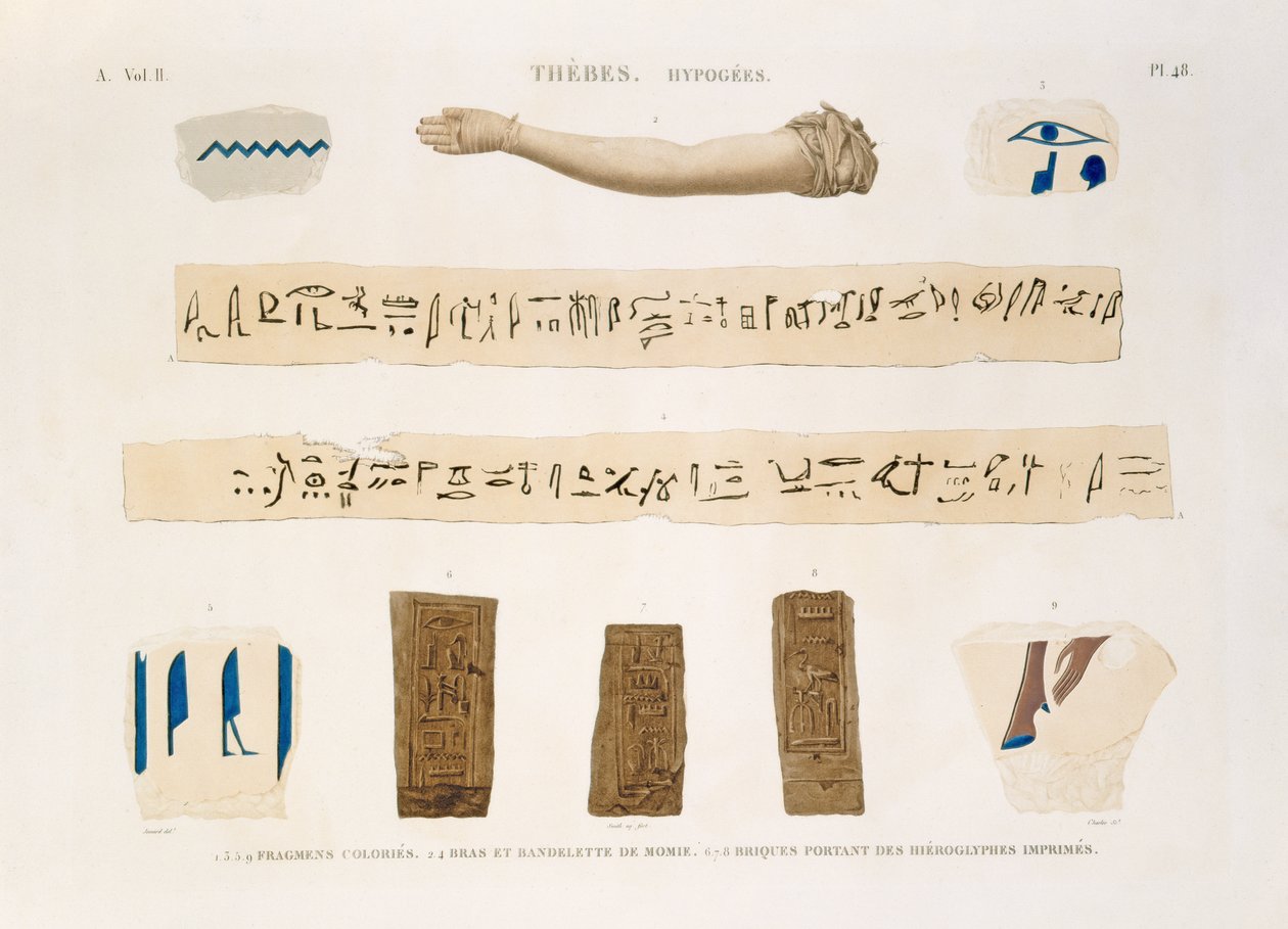 Illustrationen von Hieroglyphen und dem Arm einer Mumie aus Hypogäen, Theben, Tafel 48 aus Band II von 