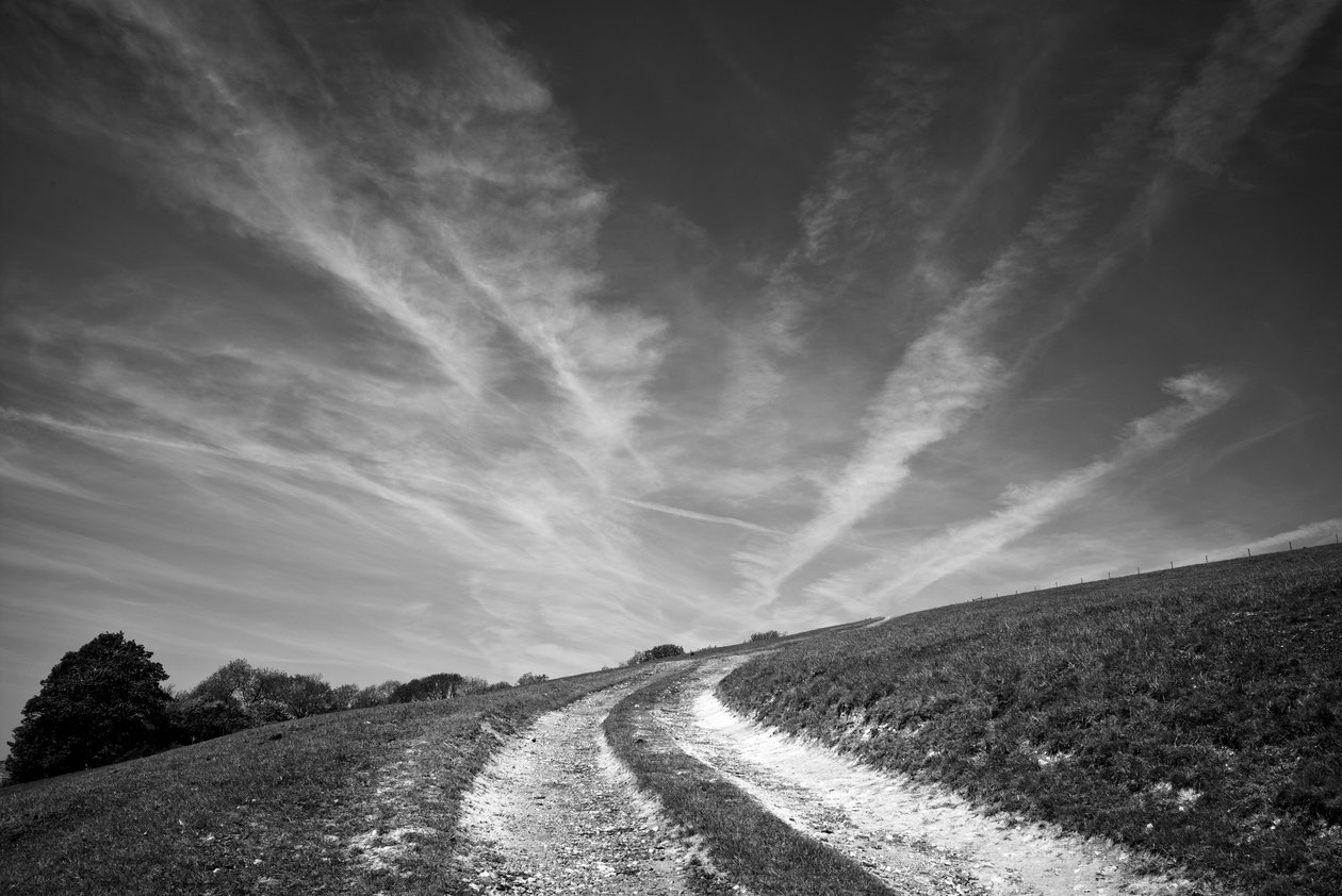 Das Goodwood-Anwesen in West Sussex, UK, 2019 von Jon Nicholson