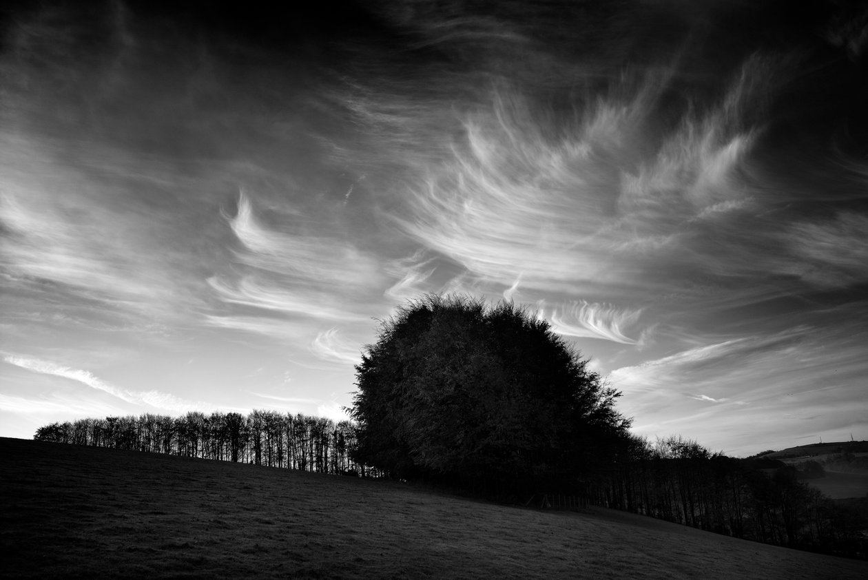 Das Goodwood-Anwesen in West Sussex, UK, 2019 von Jon Nicholson