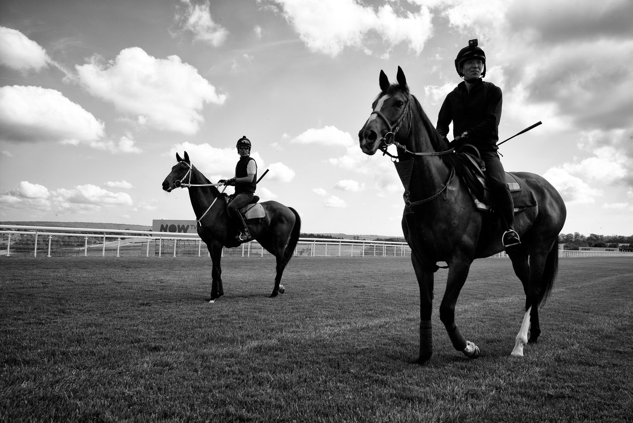 Das Goodwood-Anwesen in West Sussex, UK, 2019 von Jon Nicholson