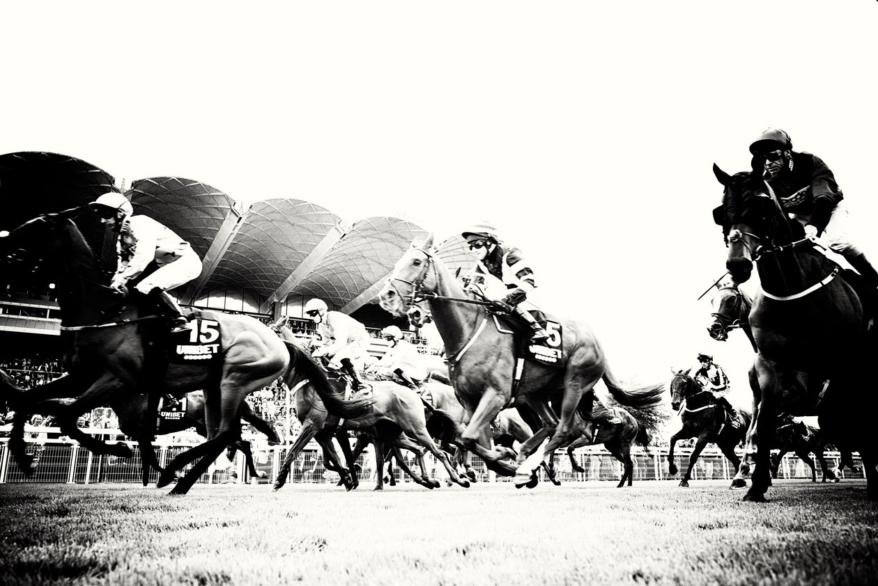 Das Goodwood-Anwesen in West Sussex, UK, 2019 von Jon Nicholson