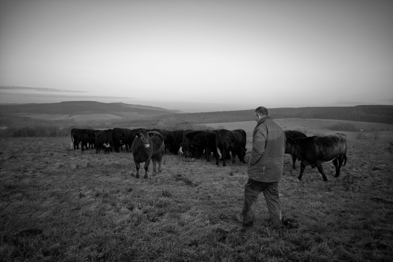 Das Goodwood-Anwesen in West Sussex, UK, 2019 von Jon Nicholson