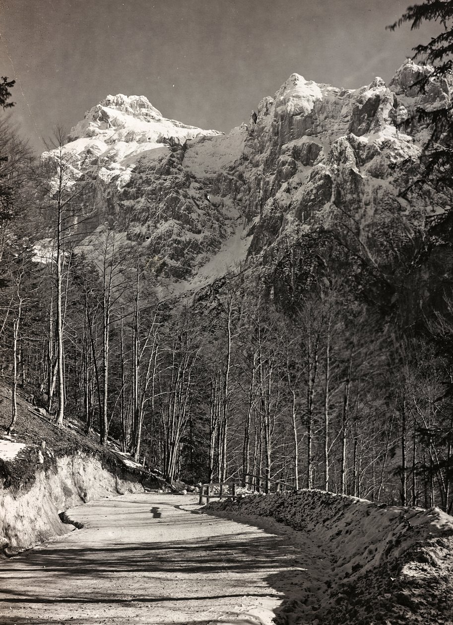Album "Meine Weltkriegs-Erinnerungen Südwestfront (Kärnten, Italien, Südtirol) 31.03.1915-12.11.1918 - Josef Zohles Wien": Bergstraße (s/w Foto) von Josef Zohles