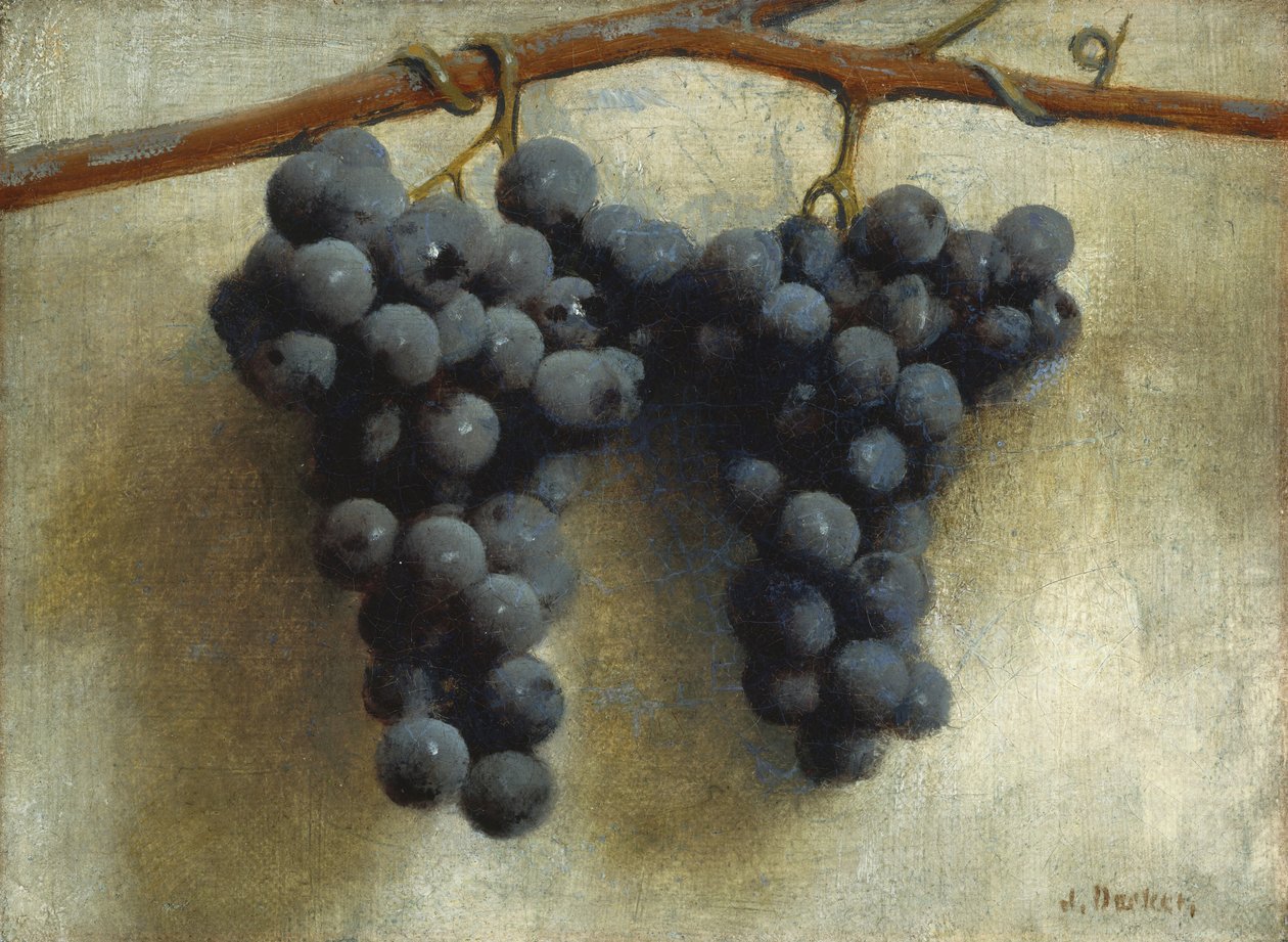Trauben von Joseph Decker