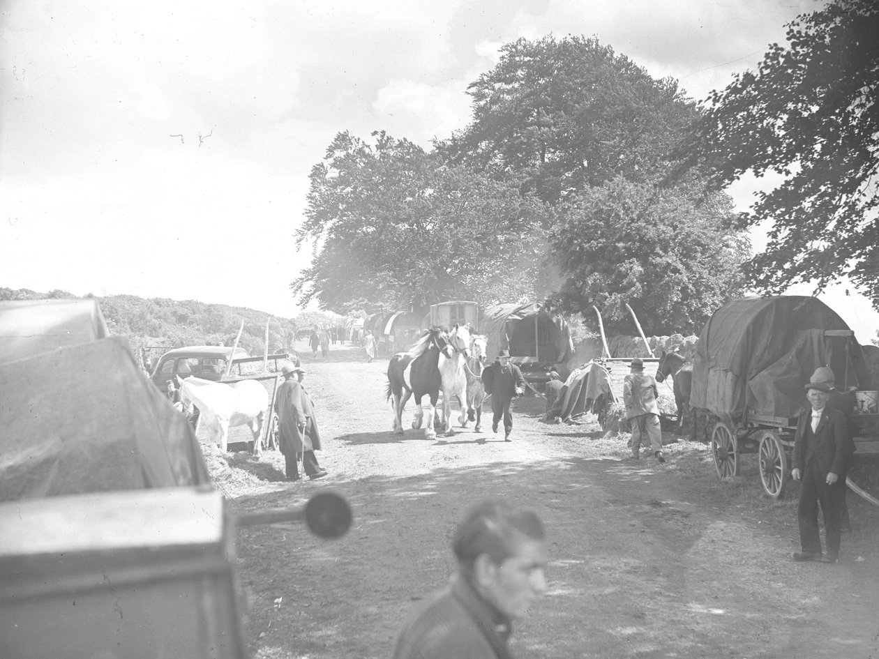 Pferde werden auf Straße in Appleby geführt mit Wohnwagen und Autos am Rand von Joseph Hardman